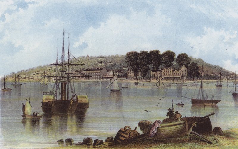 Cowes ocidentais de English School