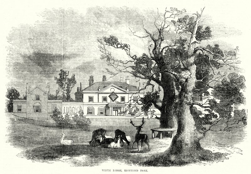 White Lodge, Richmond Park (gravura) de English School