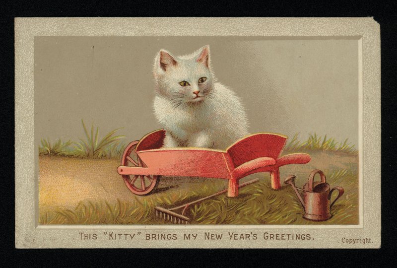 Gato branco em um carrinho de mão, cartão de Ano Novo. (chromolitho) de English School