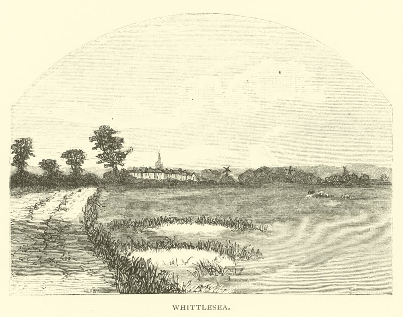 Whittlesea de English School