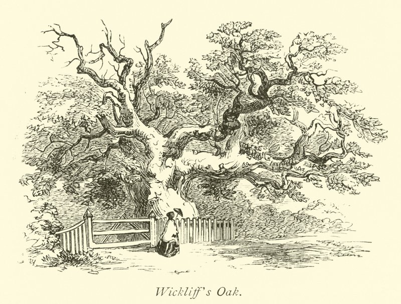 Carvalho Wickliffs de English School