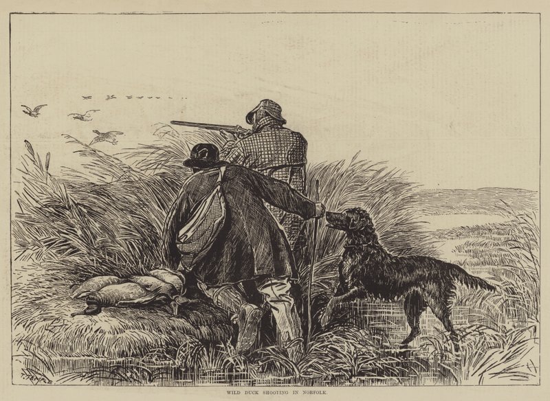 Wild Duck Shooting in Norfolk (gravura) de English School