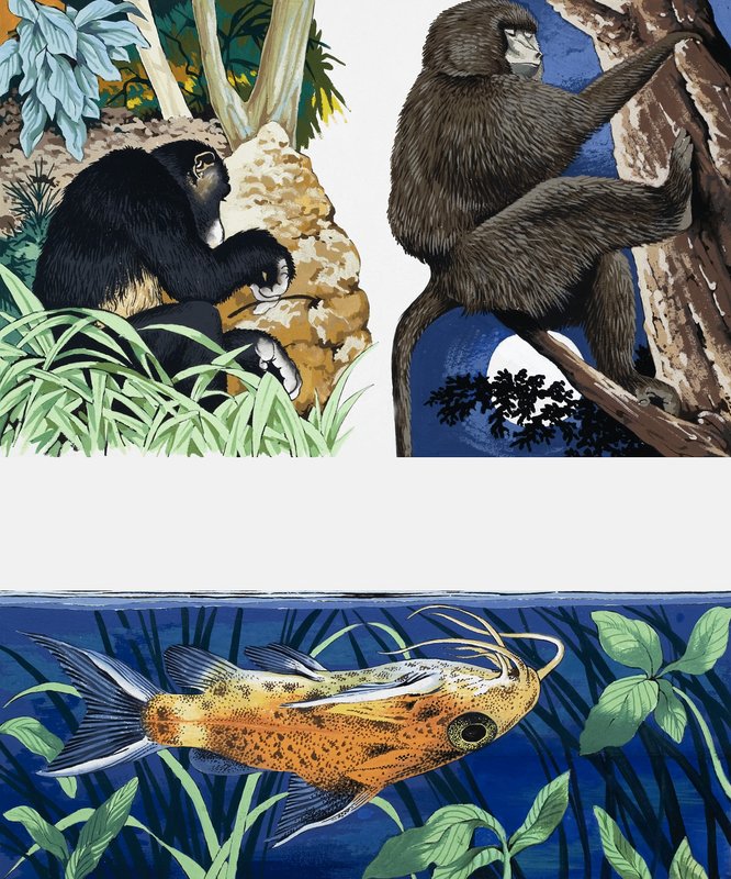 Montagem de animais selvagens de English School