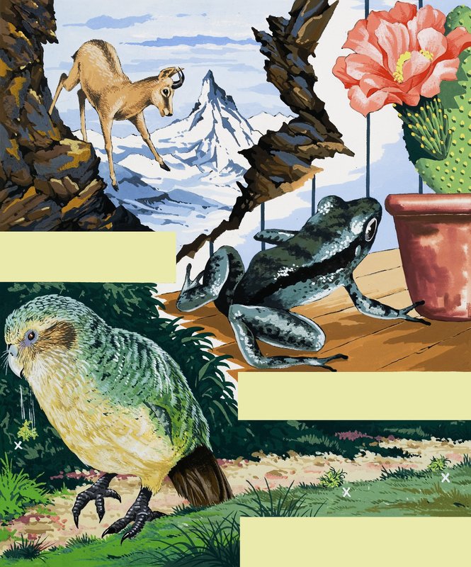 Montagem de animais selvagens de English School