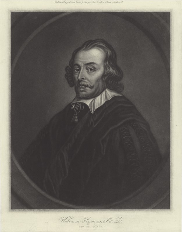 William Harvey, médico inglês de English School