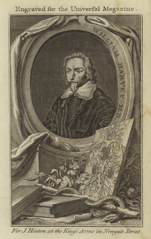 William Harvey MD de English School