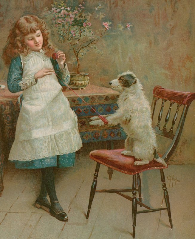 Enrolando as Lãs de English School