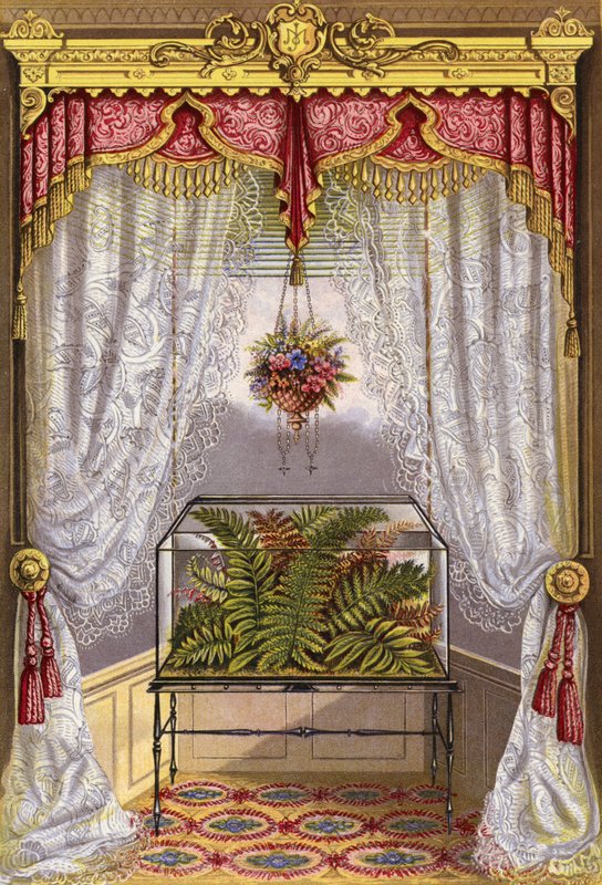 Decoração de Janelas de English School