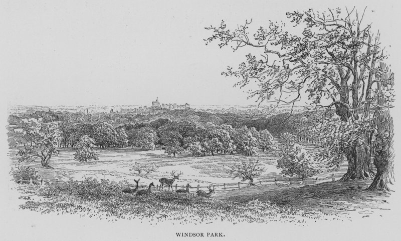 Windsor Park (gravura) de English School