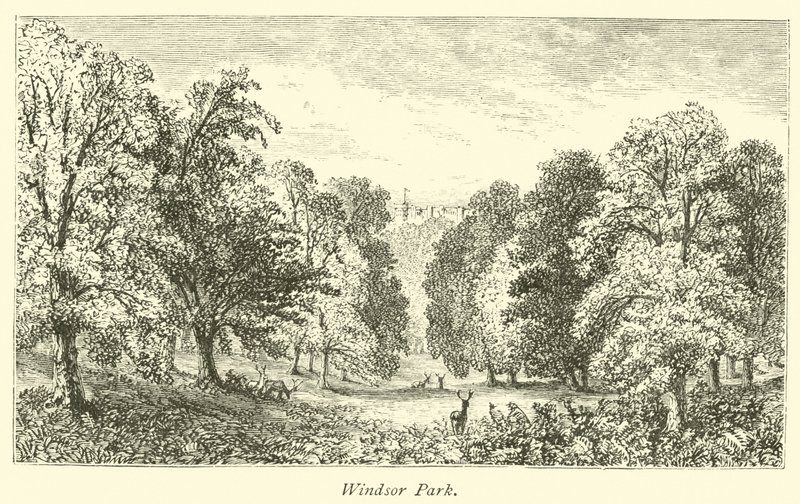 Windsor Park de English School