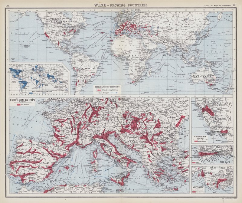 Vinho, países produtores (litografia a cores) de English School