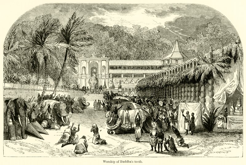 Adoração ao dente de Buda (gravura) de English School