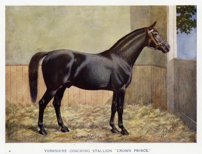 Yorkshire Coaching Stallion "Crown Prince" (cor litho) de English School