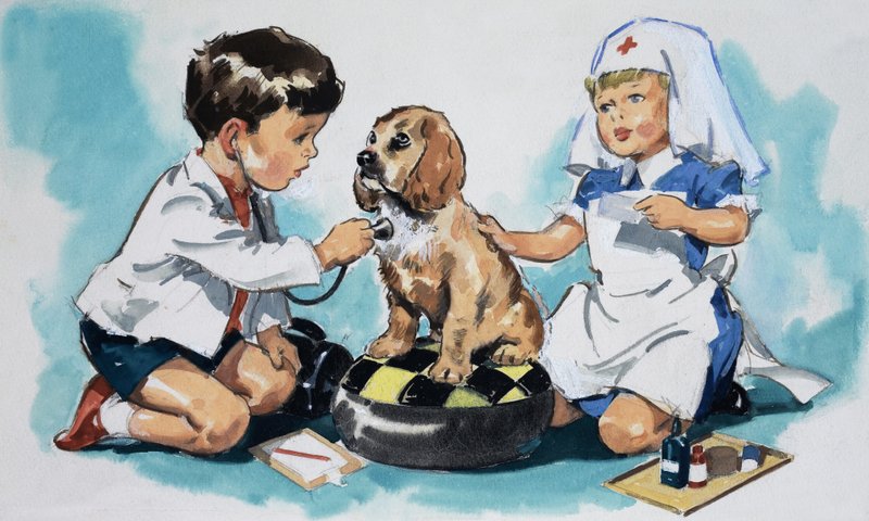 Jovens veterinários de English School
