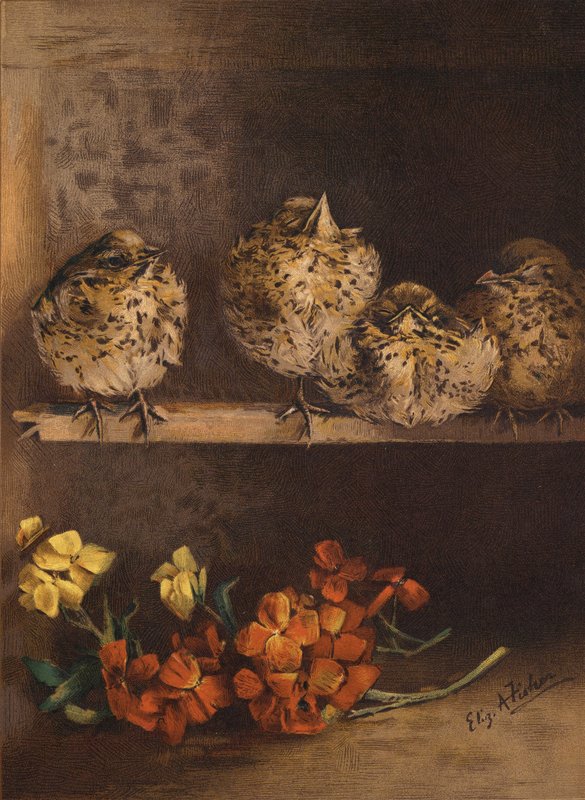 Pintinhos e flores (cromolito) de English School