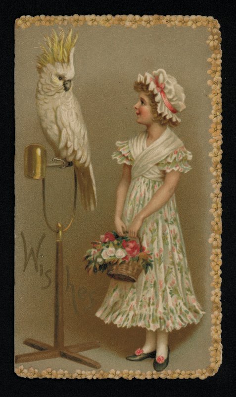 Mulher jovem com uma catatua branca, cartão de felicitações. (cromolitho) de English School