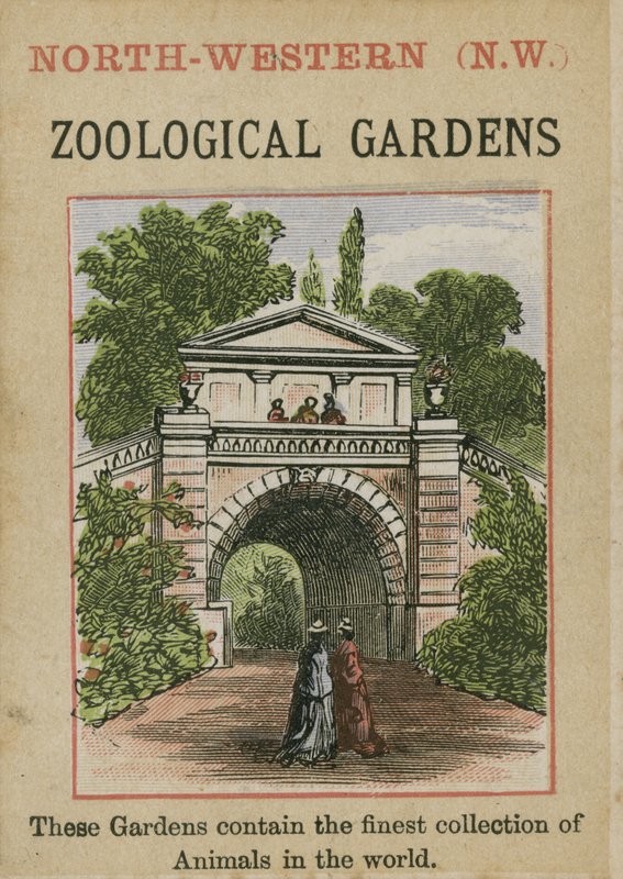 Jardins zoológicos de English School