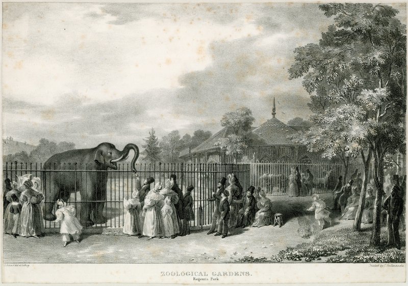 Jardins Zoológicos, Regents Park de English School