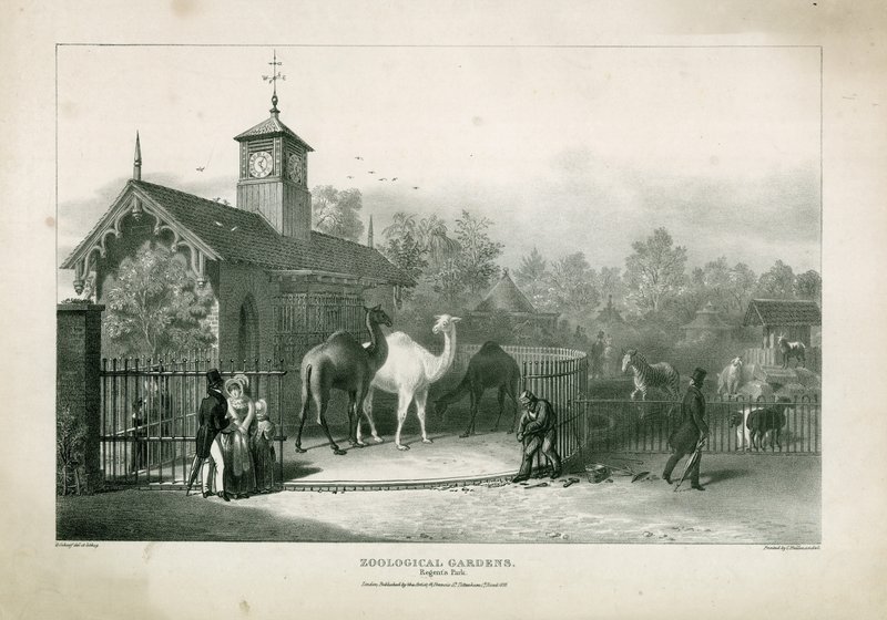 Jardins Zoológicos, Regents Park de English School
