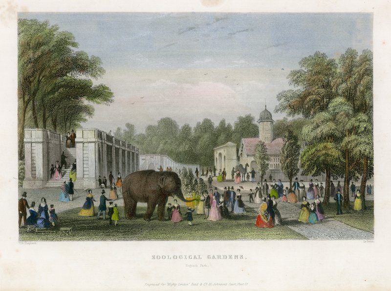 Jardins Zoológicos, Regents Park de English School