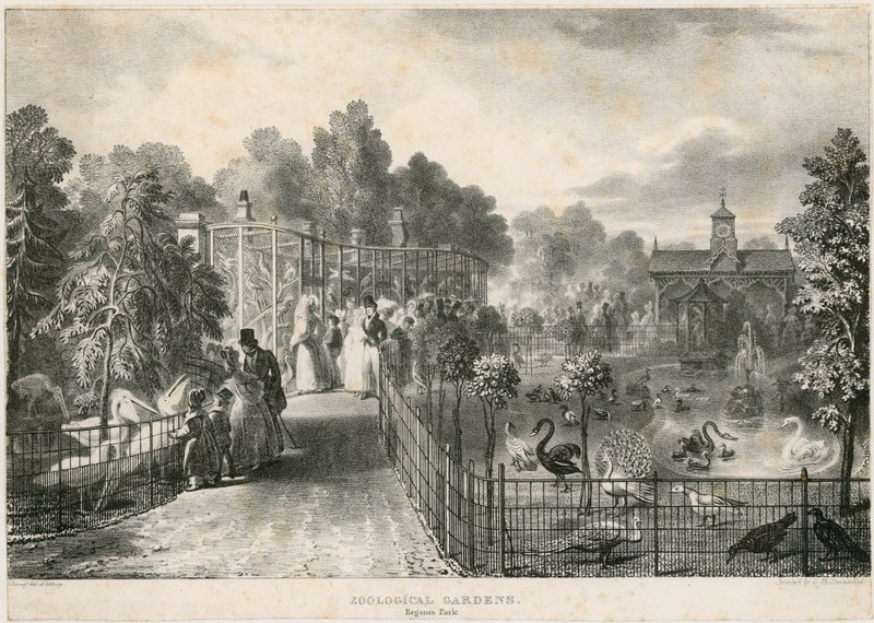Jardins Zoológicos, Regents Park de English School
