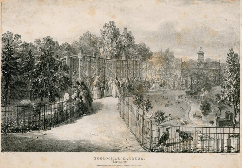 Jardins Zoológicos, Regents Park de English School