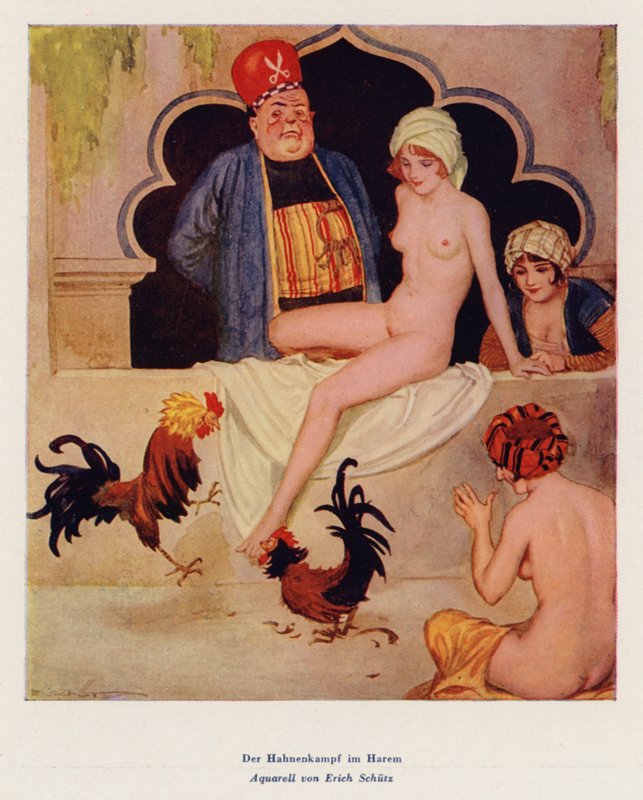 A luta de galos no Harem (aguarela) de Erich Schutz