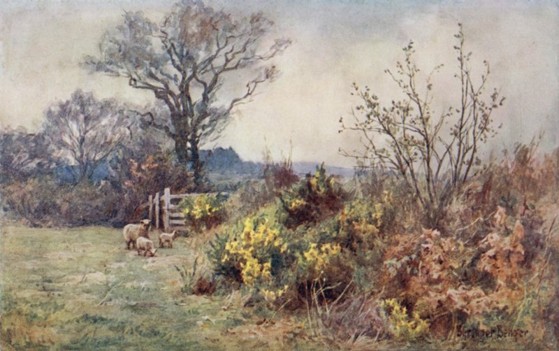 O campo e a dobra de Ernest Benger or Berenger