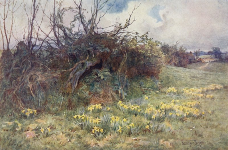 Quando os narcisos começam a olhar de Ernest Benger or Berenger
