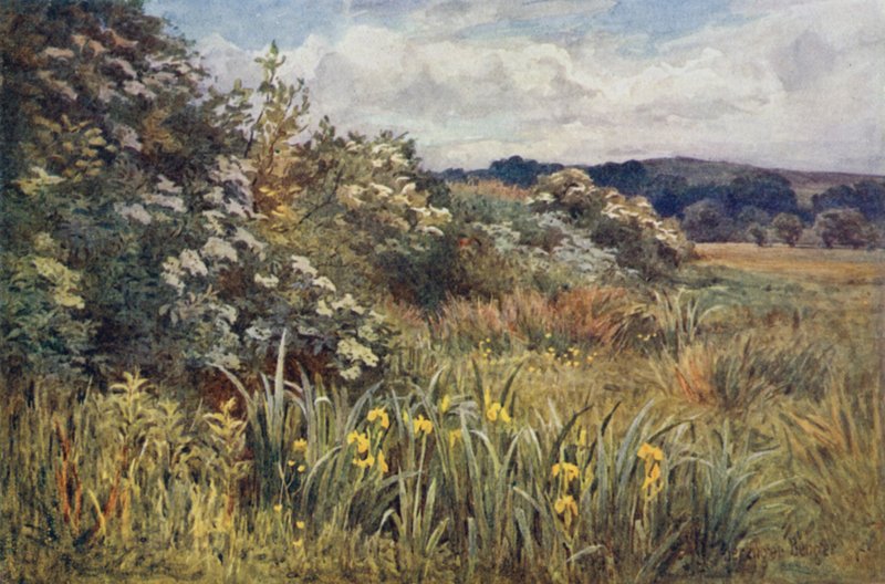Quando a glória coroa o hidromel de Ernest Benger or Berenger