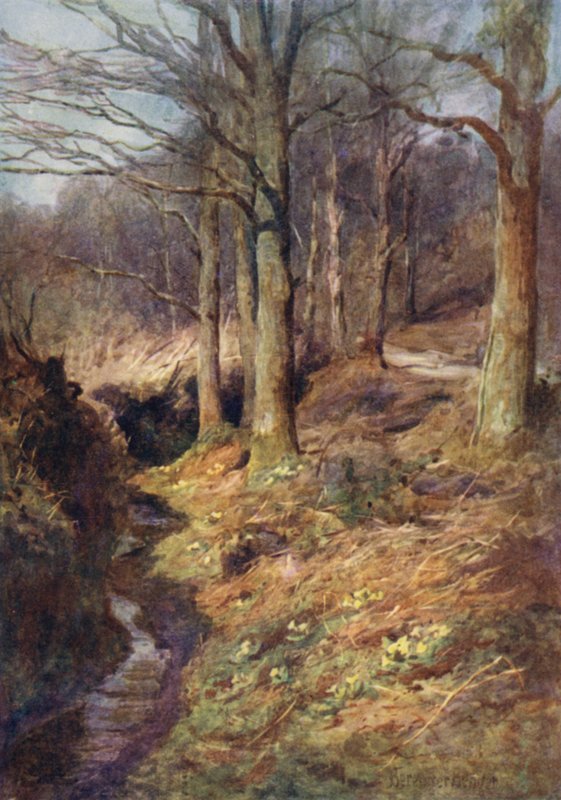 Quando a primavera desperta na floresta de Ernest Benger or Berenger