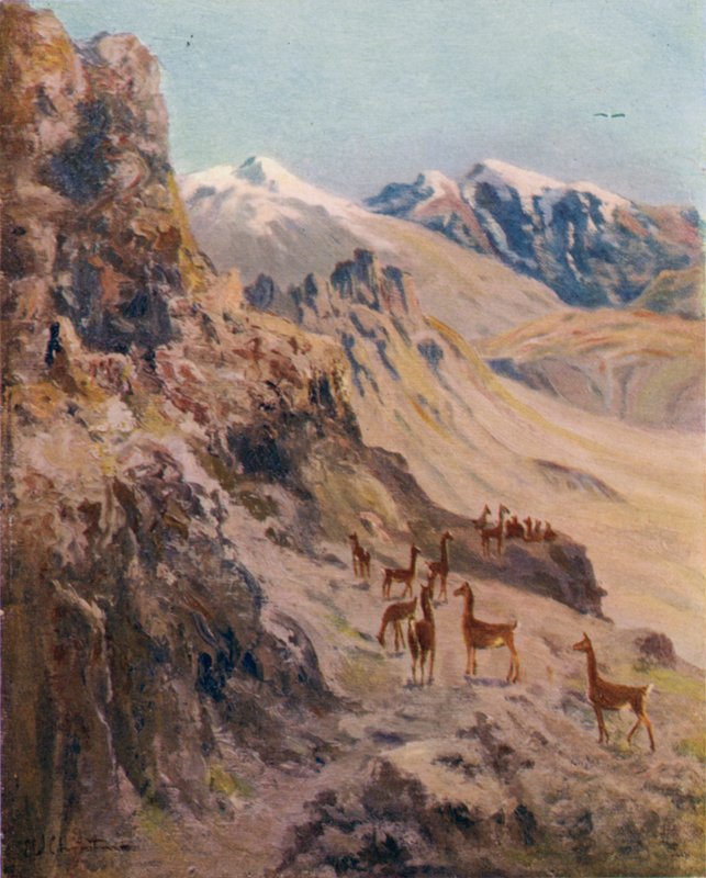 Uma caça ao guanaco de Ernest William Christmas