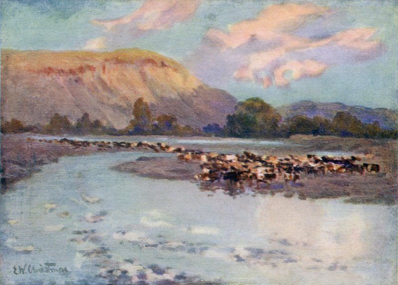 Rega de bovinos de Ernest William Christmas