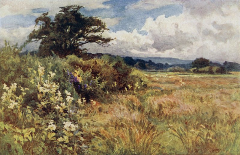 Subida de Ernest Benger or Berenger