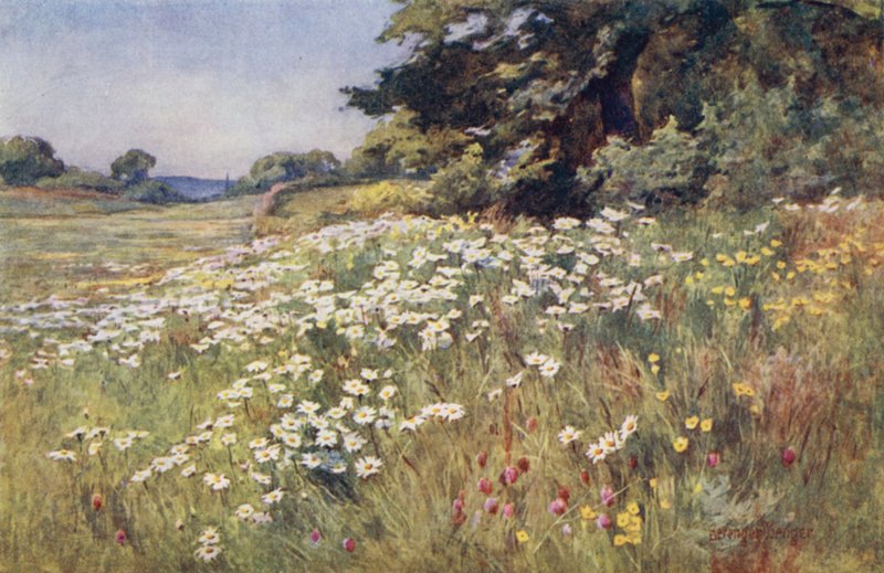 Sol em Prado de Ernest Benger or Berenger