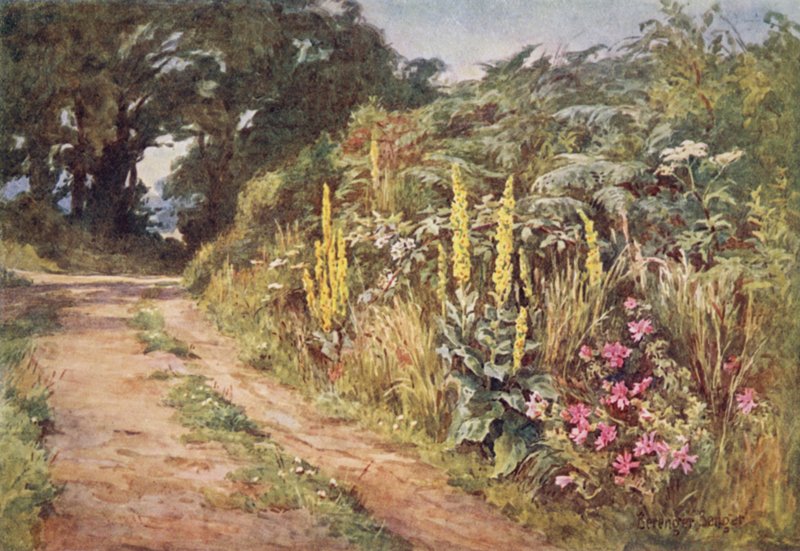O coração da sebe de Ernest Benger or Berenger