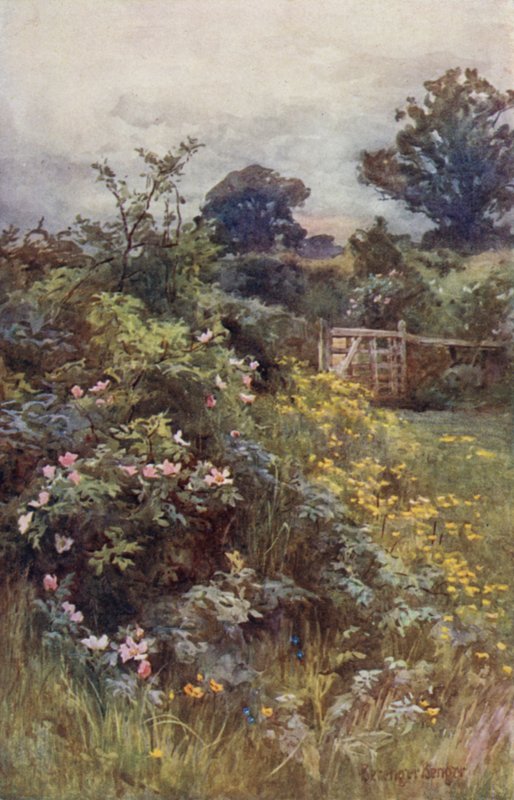O reino da rosa de Ernest Benger or Berenger