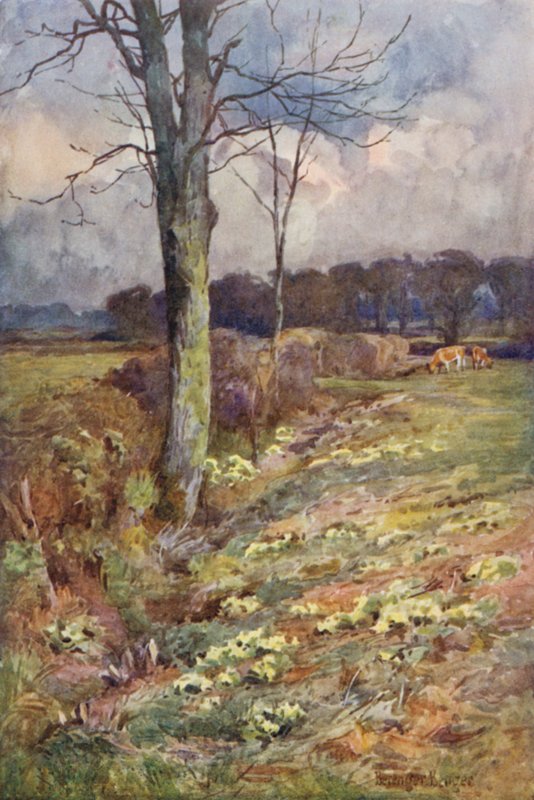 O ampliando o Vista de Ernest Benger or Berenger