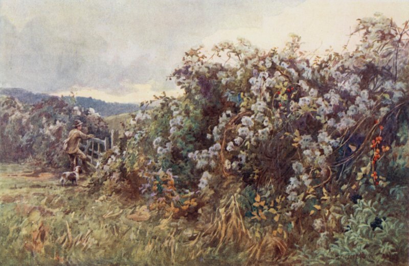 Viajantes "Joy de Ernest Benger or Berenger