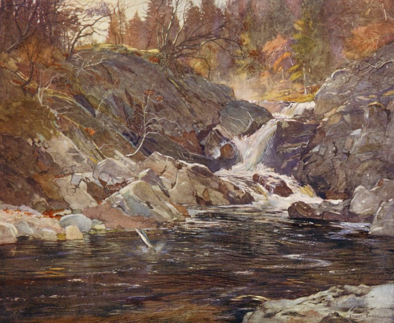 A Perthshire side-glen (litografia a cores) de Ernest Edward Briggs
