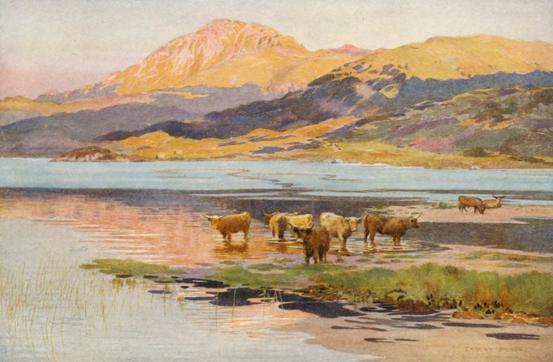 A cabeça do Loch Quoich, à noite (litografia a cores) de Ernest Edward Briggs