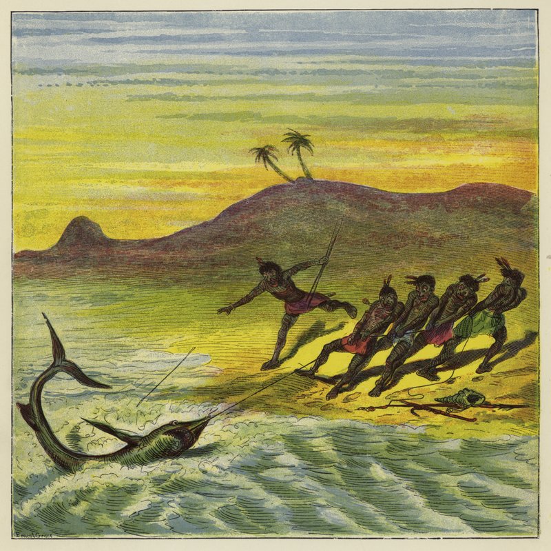 Pegando um tubarão de Ernest Henry Griset