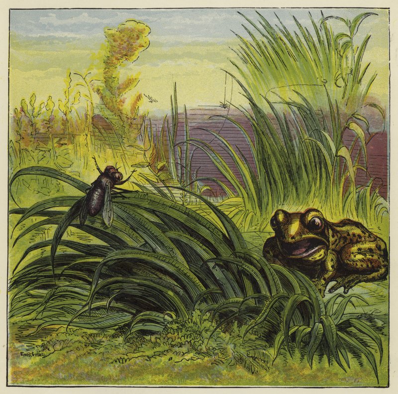 Sapo e voar de Ernest Henry Griset