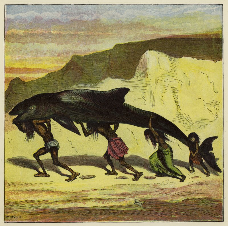 Ótimo peixe engraçado de Ernest Henry Griset