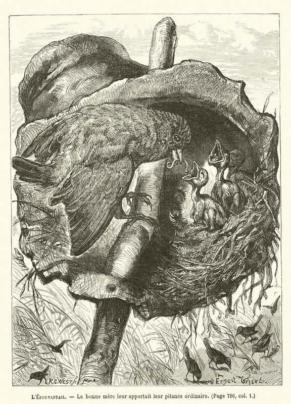A amada, A boa mãe trouxe-lhes a sua ninharia ordinária de Ernest Henry Griset