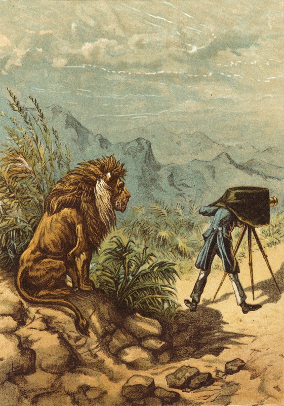 Perspectiva promissora, leão observa fotógrafo (chromolitho) de Ernest Henry Griset