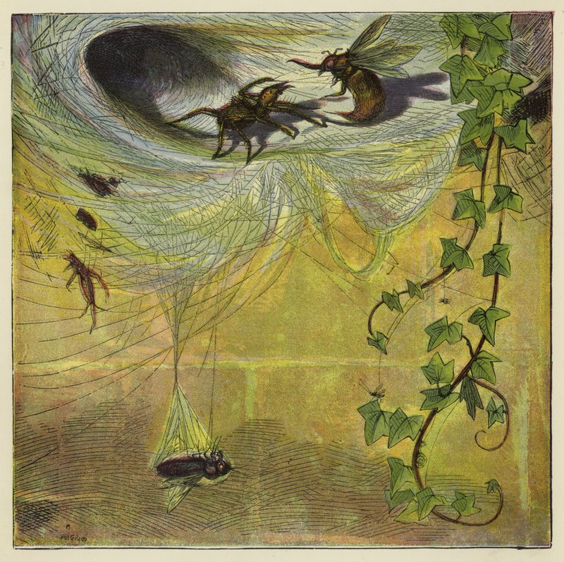 Aranha, mosca e abelha de Ernest Henry Griset
