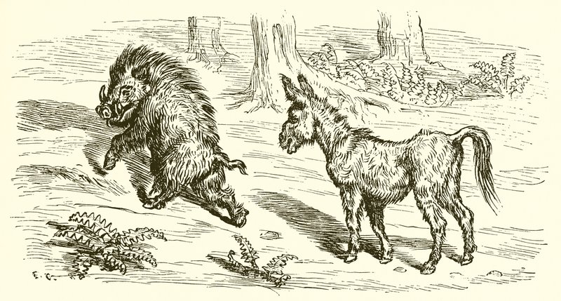 O javali e o burro de Ernest Henry Griset