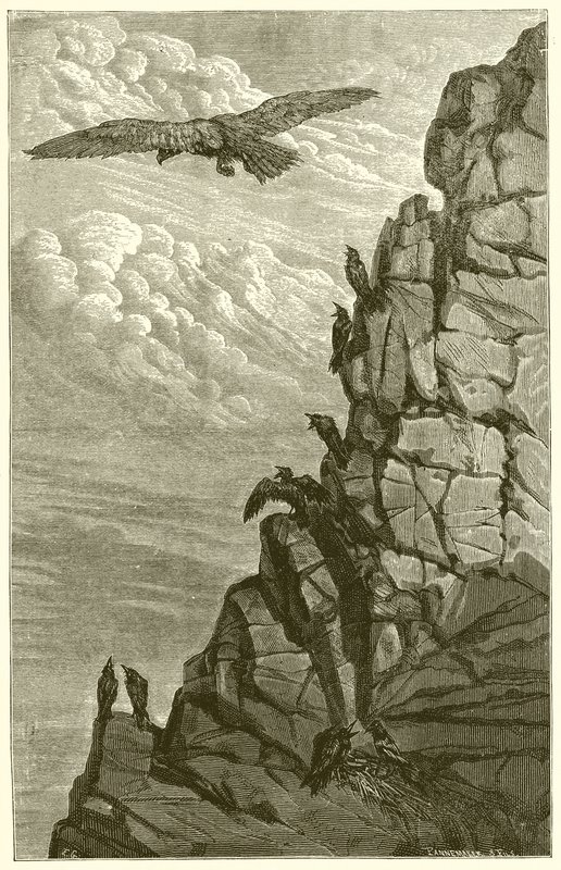 A águia e o corvo de Ernest Henry Griset