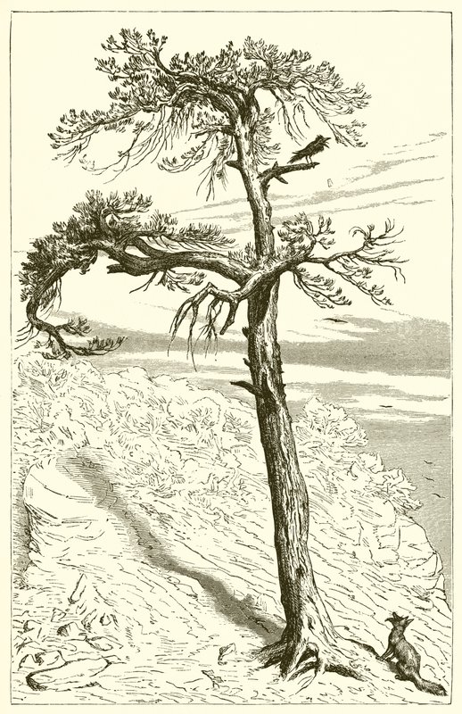 A raposa e a tripulação de Ernest Henry Griset